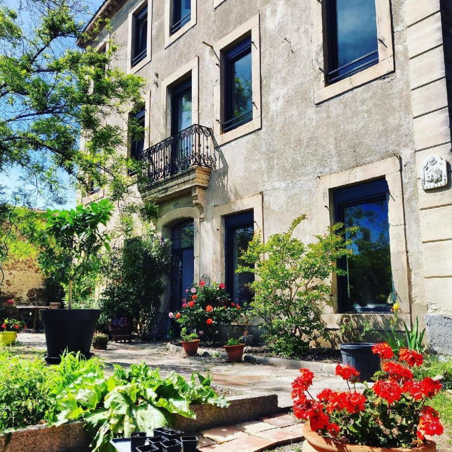La Villa Du Chai Lézignan-Corbières Exterior foto